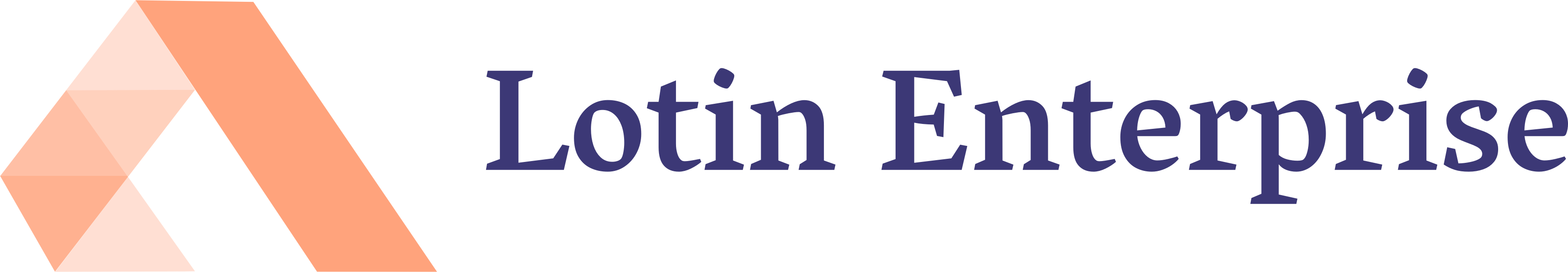Lotin Enterprise